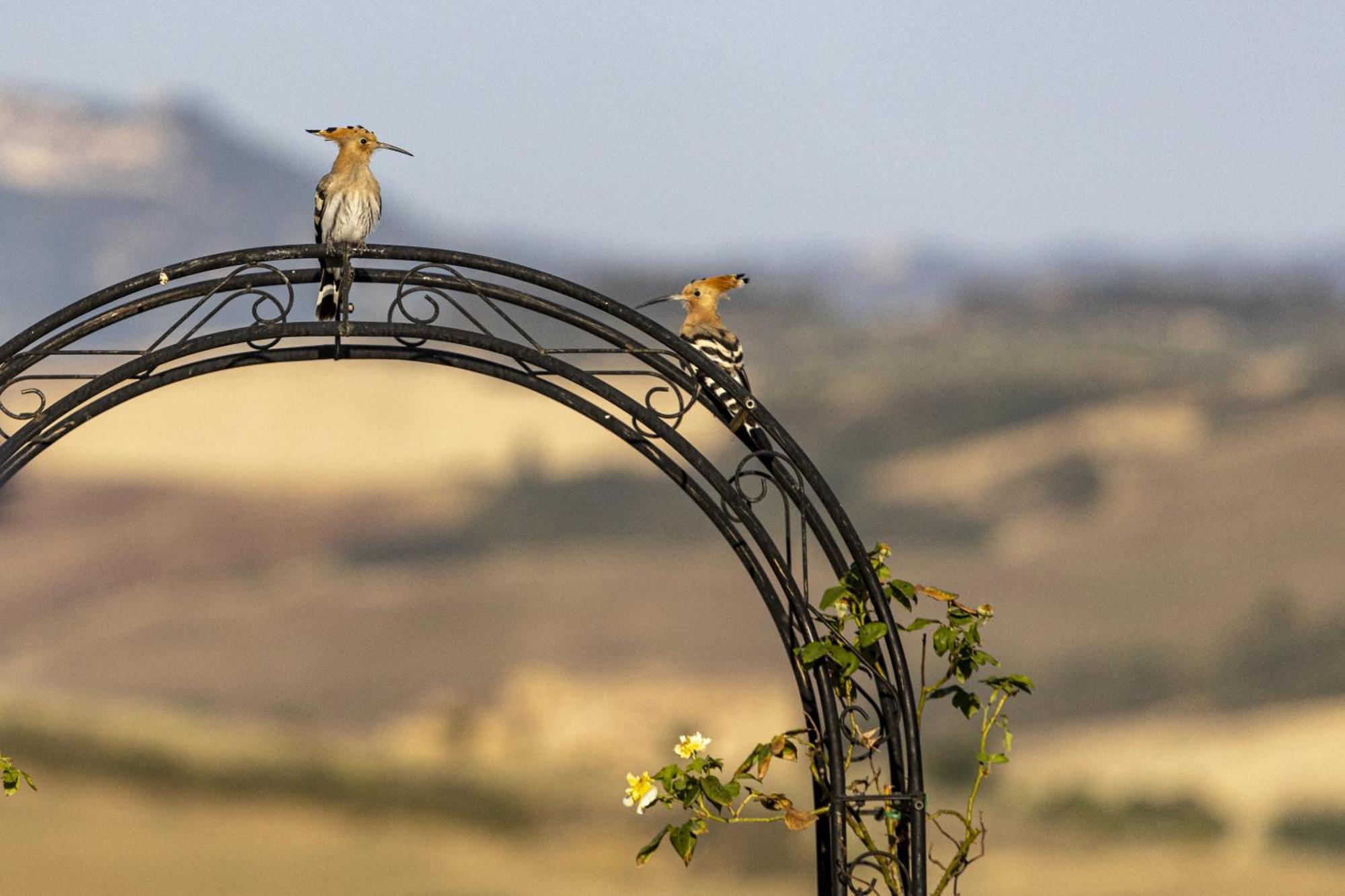 Villa Vento D'Orcia Pienza Exterior foto